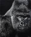 The Great Ape